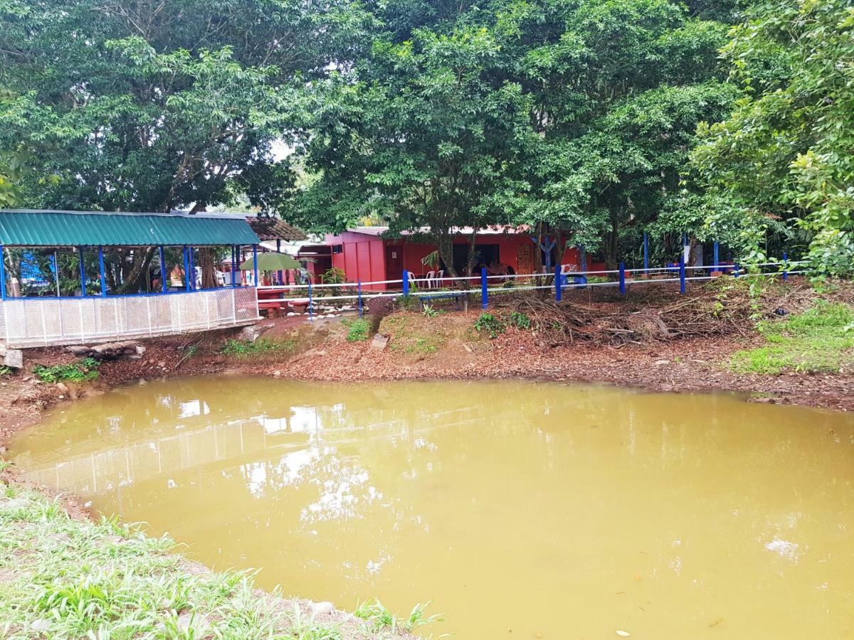 Hotel Maguey Tigre  Bagian luar foto